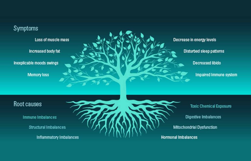 FUNCTIONAL MEDICINE – Anew You Medspa